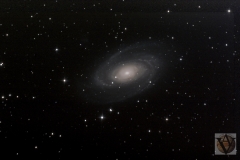 M81 Bode\'s Galaxy