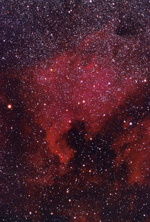 ngc-7000-nebulosa-nord-america-cigno